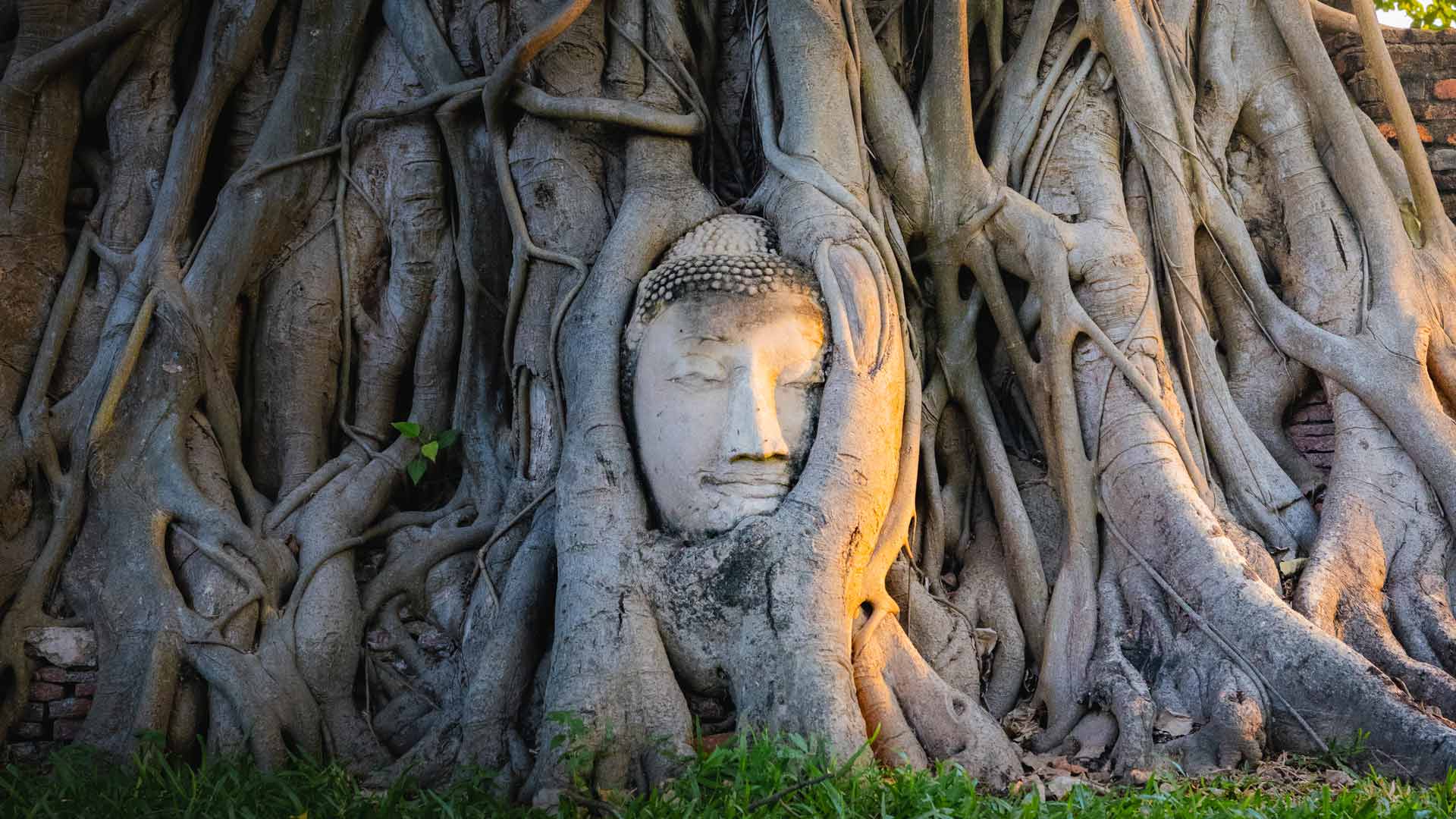 Ruinas de Ayutthaya · imagen 3